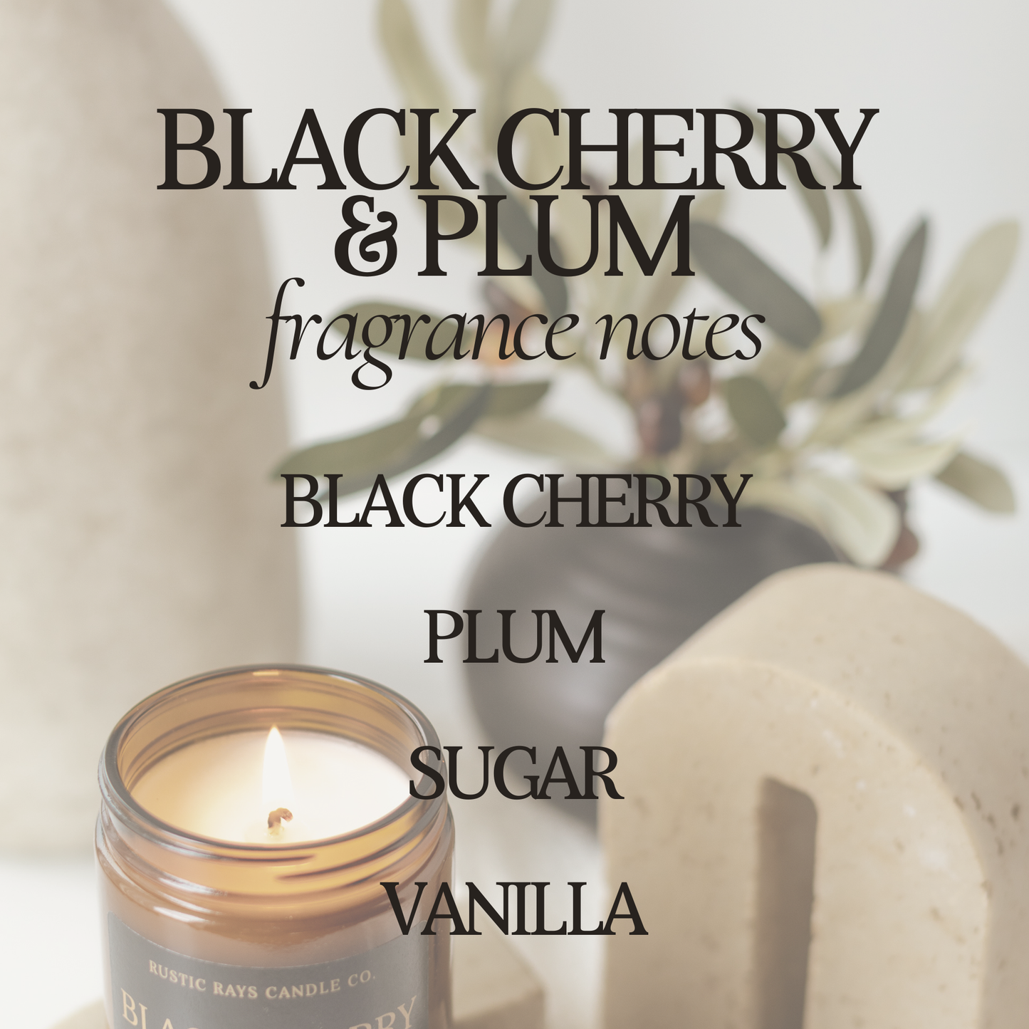 Black Cherry & Plum 9 oz Soy Candle - Home Decor & Gifts