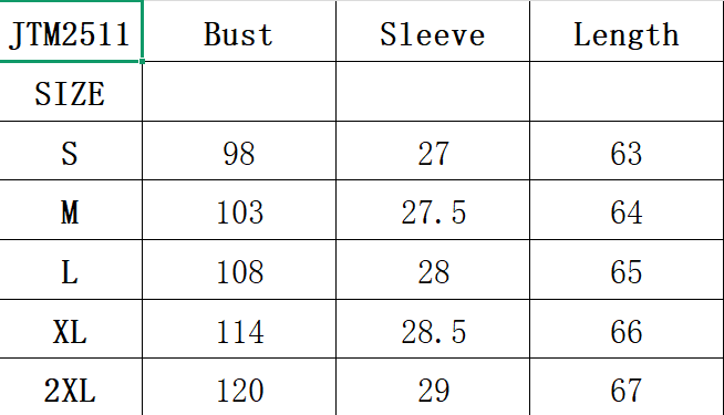 Puff Sleeve Embroidered Blouse for Women Summer