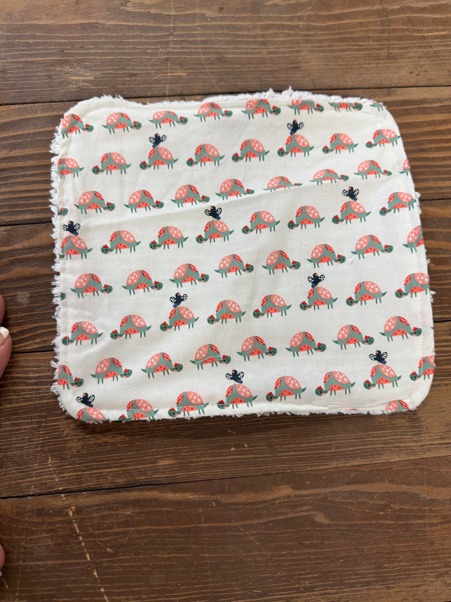 Ladybug wash cloth