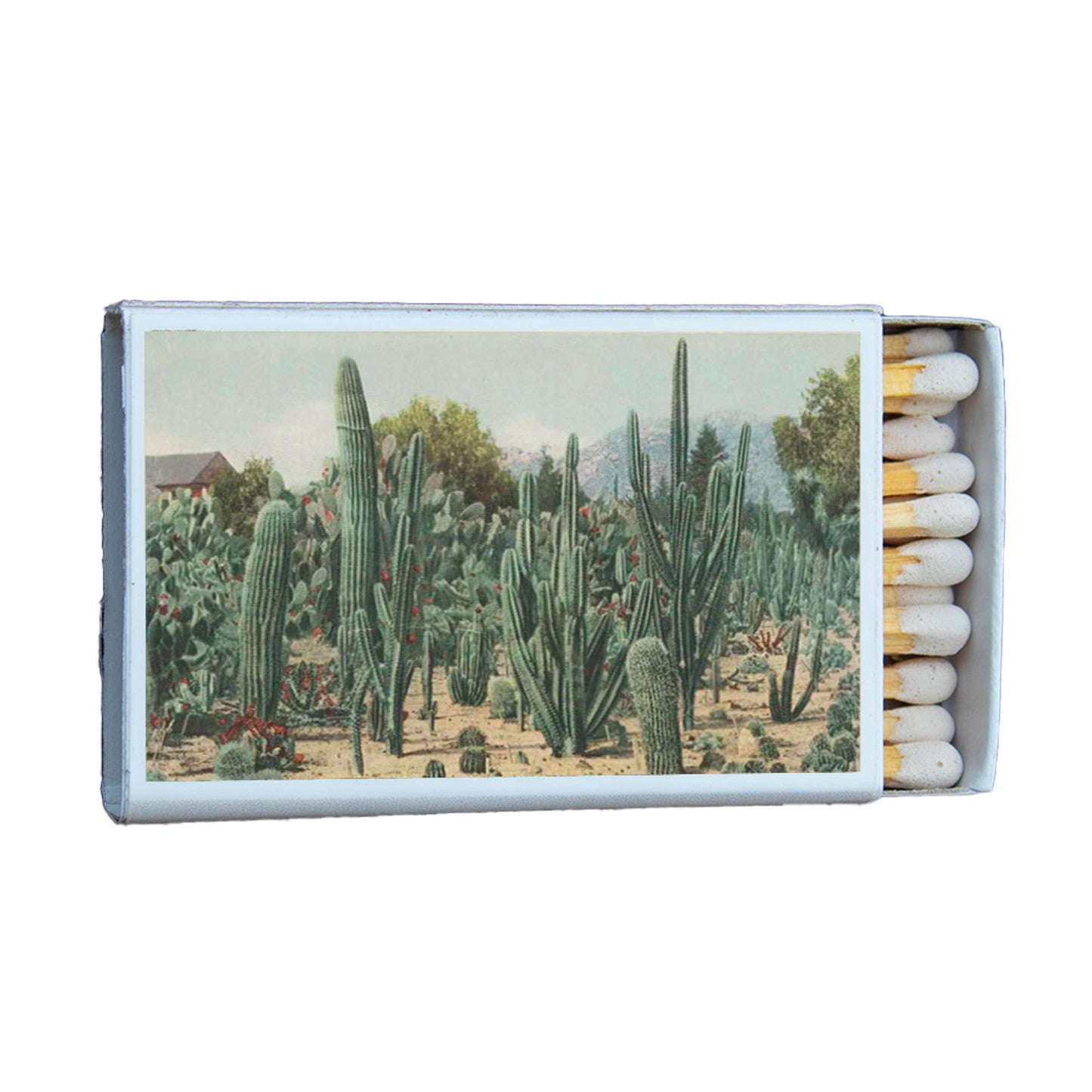 Cactus Garden California Matchbox • Candle Acc • Matches