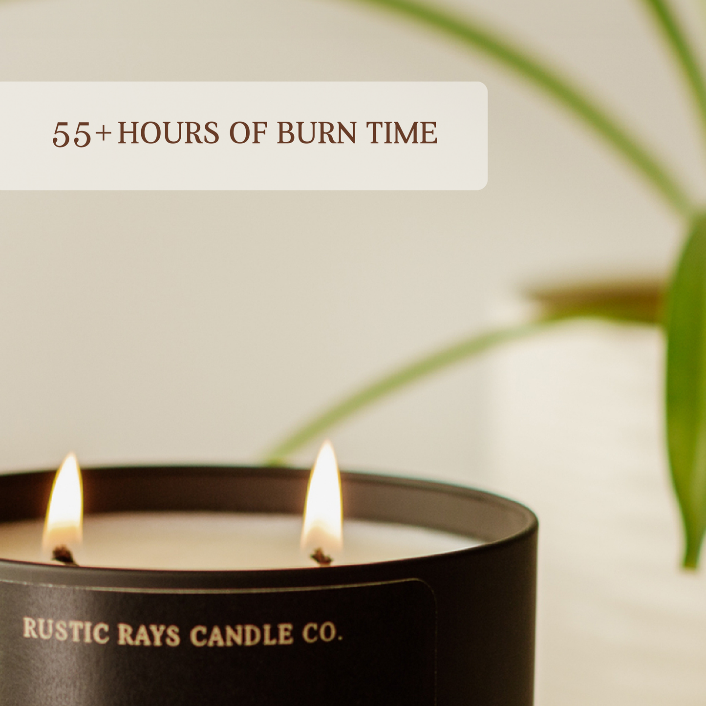 Malibu 12 oz Soy Candle - Home Decor - Mango & Coconut
