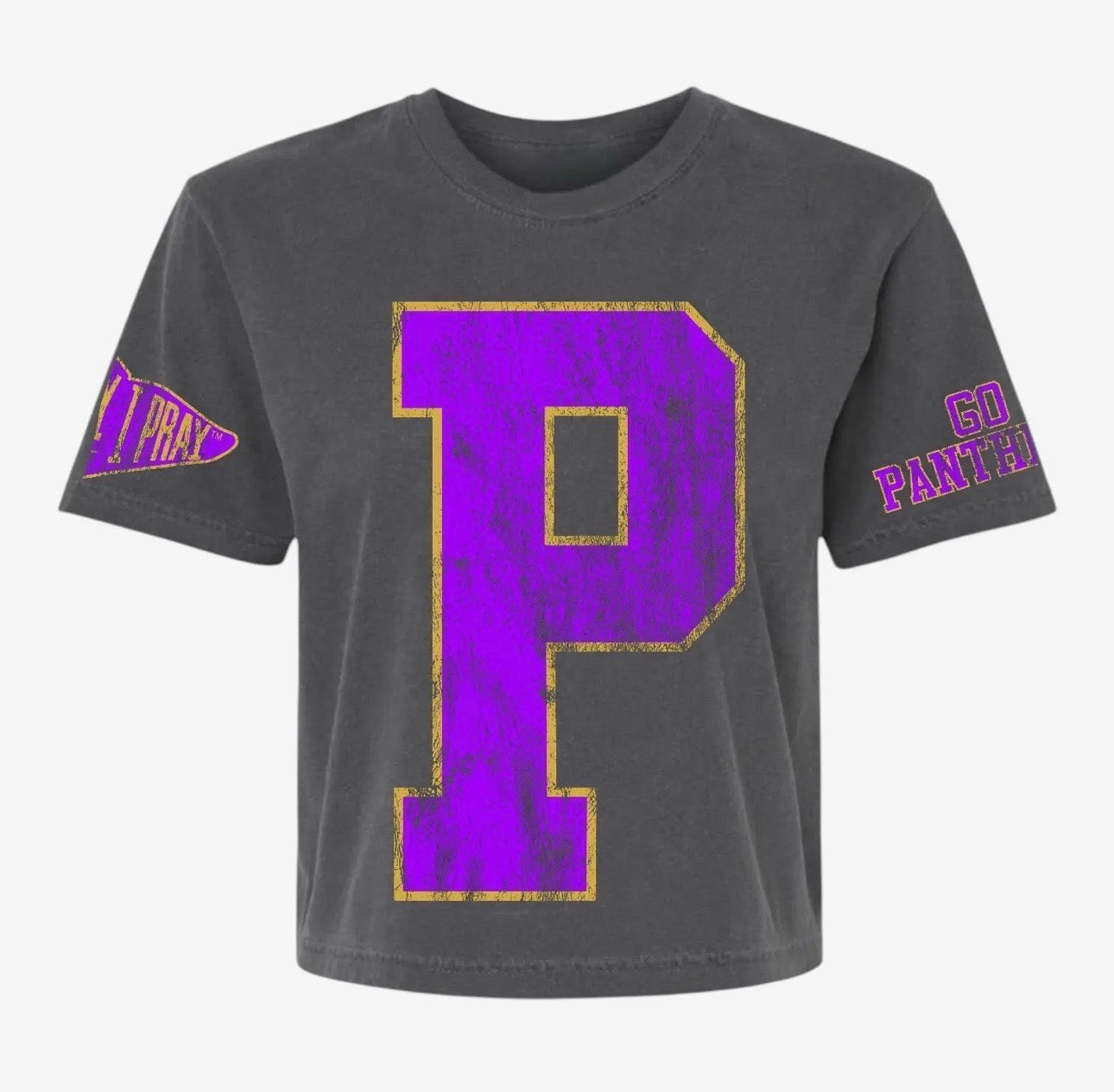 Panther #1 Fan™ | Team Spirit | Graphic Tee | Football Mom