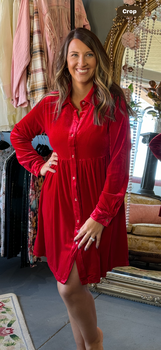 Velvet Ruffle Long Sleeve Dress