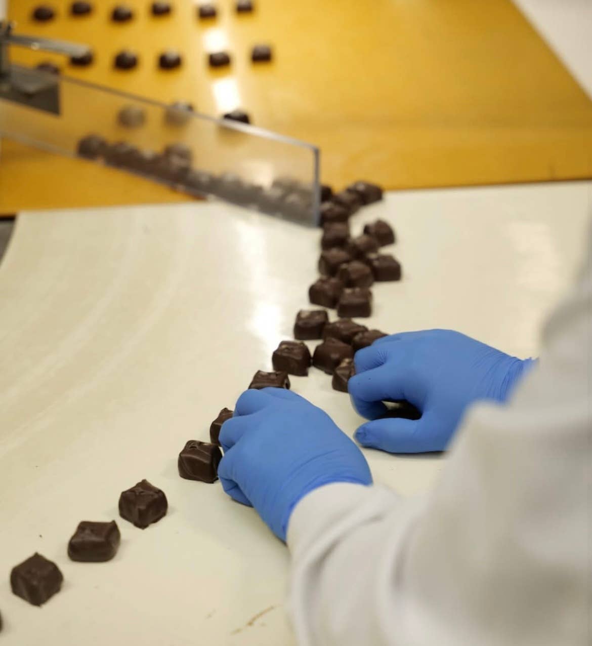 1/2LB Sea Salt Caramel Milk Chocolate - Window Box